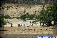 ������� �������-����� Club Med Agadir, �������