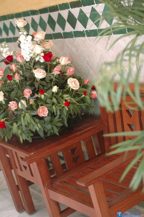 ������� �������-����� Club Med Agadir, �������