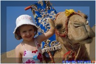 ������� �������-����� Club Med Agadir, �������