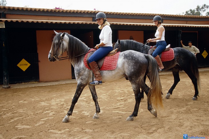 ������ �����, Club Med Agadir, �������