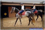 ������ �����, Club Med Agadir, �������