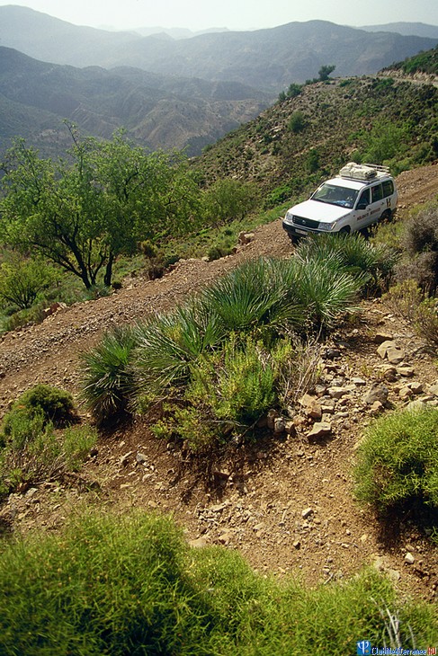 ������� �������-����� Club Med Agadir, �������