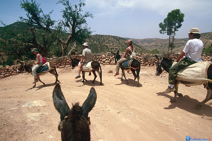 ������� �������-����� Club Med Agadir, �������