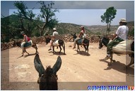 ������� �������-����� Club Med Agadir, �������