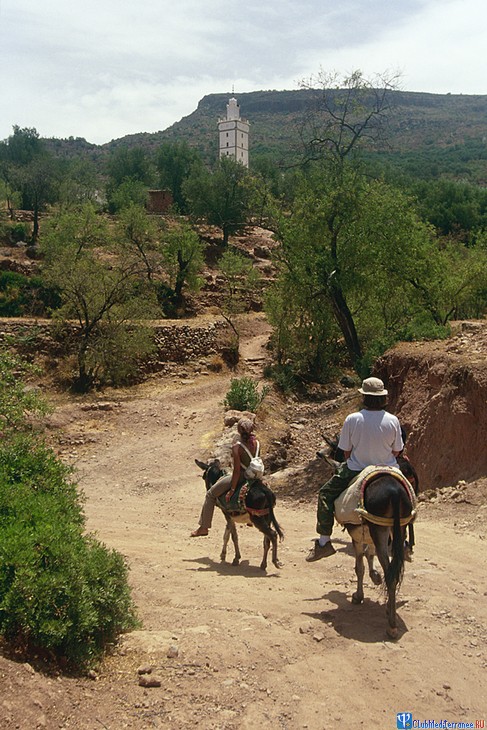 ������� �������-����� Club Med Agadir, �������