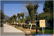  Club Med Athenia