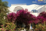  Club Med Djerba La Douce, 