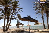  Club Med Djerba La Douce, 