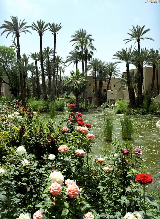  Club Med Marrakech Le Riad, 