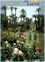  Club Med Marrakech Le Riad, 