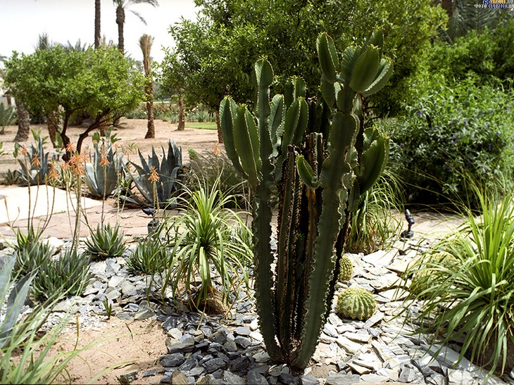  Club Med Marrakech Le Riad, 