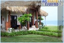  Club Med Punta Cana,  