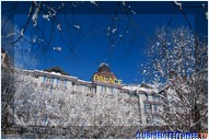   Club Med Wengen Palace