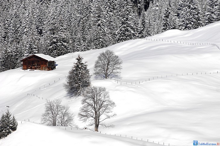  Club Med Wengen Palace