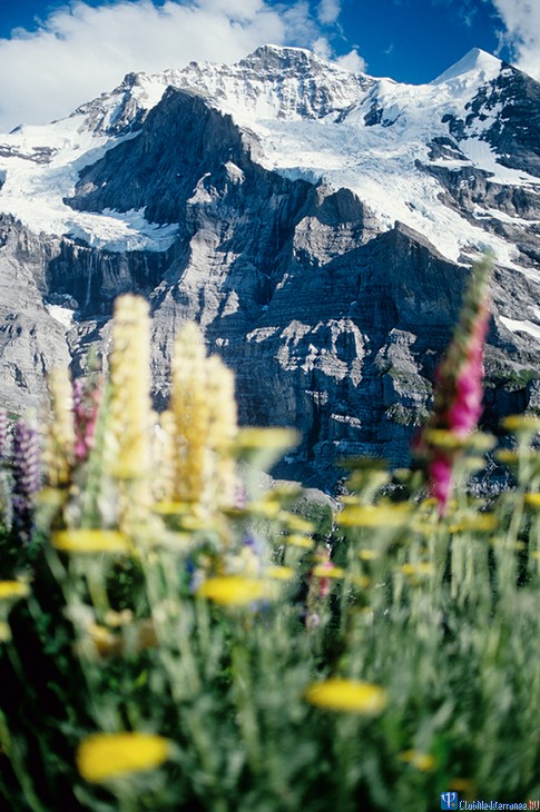  Club Med Wengen Palace