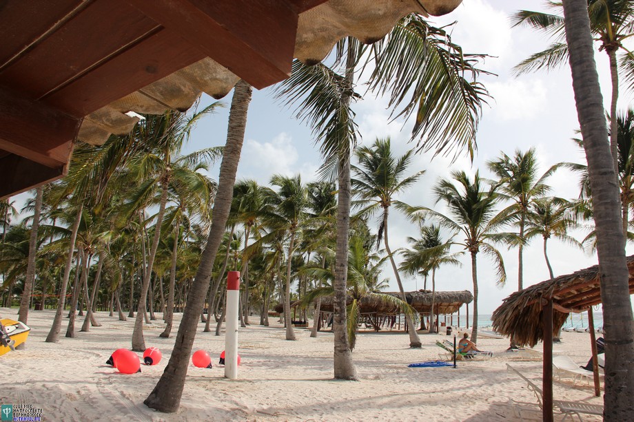  Club Med Punta Cana