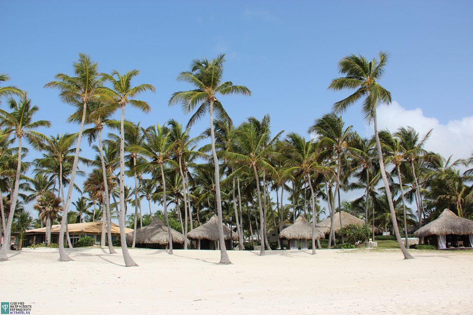  Club Med Punta Cana