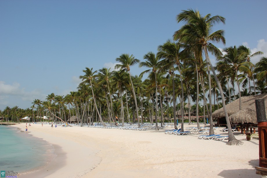 .       ,       .  Club Med Punta Cana