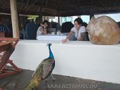  Grand Oasis Cancun, , 