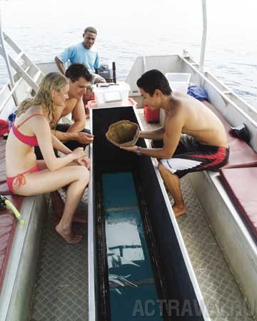  Jean-Michel Cousteau Fiji Islands Resort, 