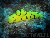 .  Mataking The Reef Dive Resort,  ,  , 