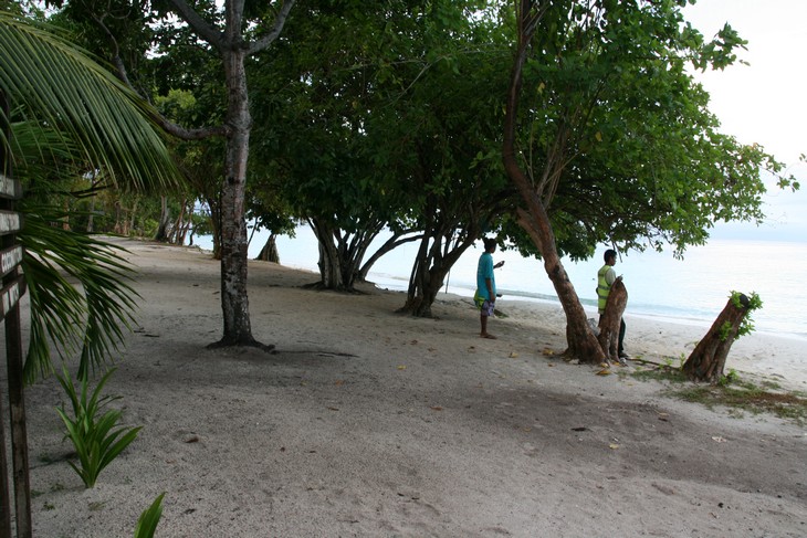    - -.  Mataking The Reef Dive Resort,  .