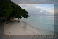    - -.  Mataking The Reef Dive Resort,  .