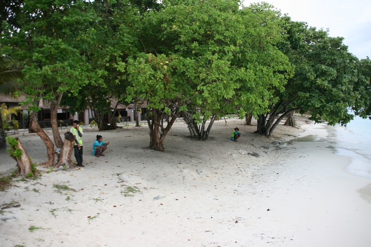    - -.  Mataking The Reef Dive Resort,  .