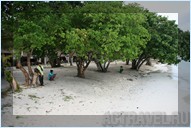    - -.  Mataking The Reef Dive Resort,  .