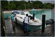    - -.  Mataking The Reef Dive Resort,  .