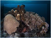 .  Mataking The Reef Dive Resort,  ,  , 