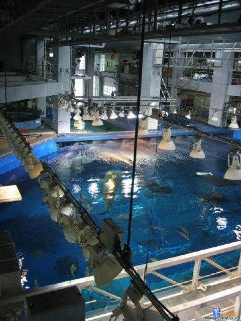   . , , Okinawa Churaumi Aquarium