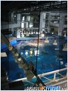   . , , Okinawa Churaumi Aquarium