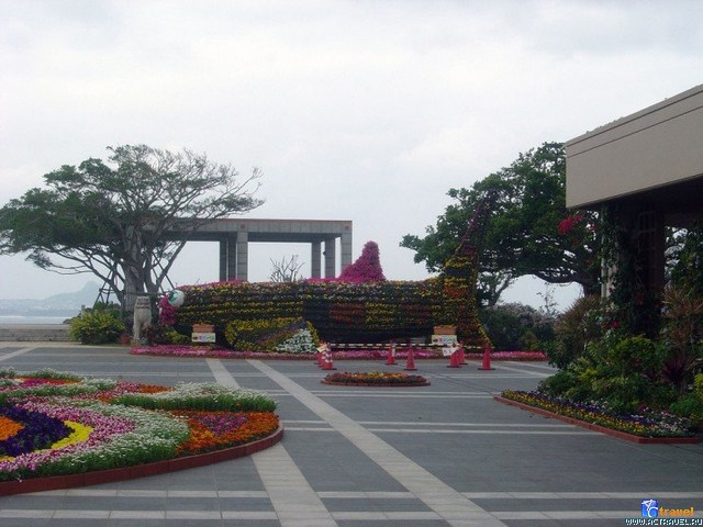   .   . , , Okinawa Churaumi Aquarium