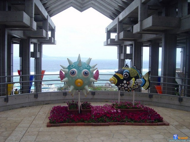   . , , Okinawa Churaumi Aquarium