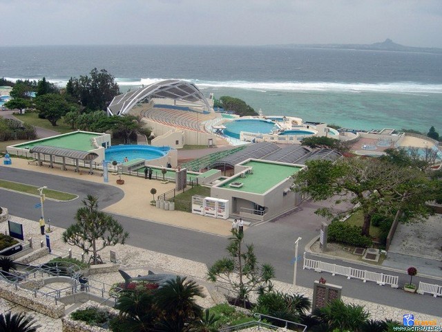   . , , Okinawa Churaumi Aquarium