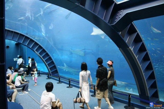   . , , Okinawa Churaumi Aquarium