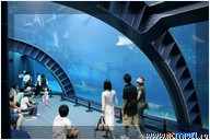   . , , Okinawa Churaumi Aquarium