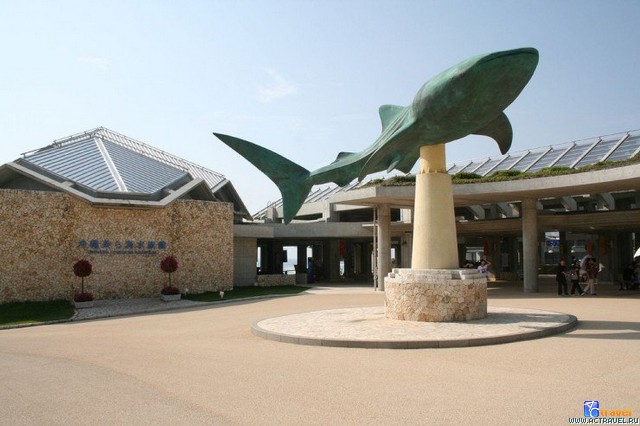   . , , Okinawa Churaumi Aquarium