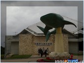   . , , Okinawa Churaumi Aquarium