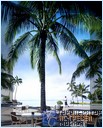  Shangri-La's Fijian Resort, 