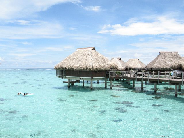  Sheraton Moorea Lagoon Resort & Spa,  ,   ()