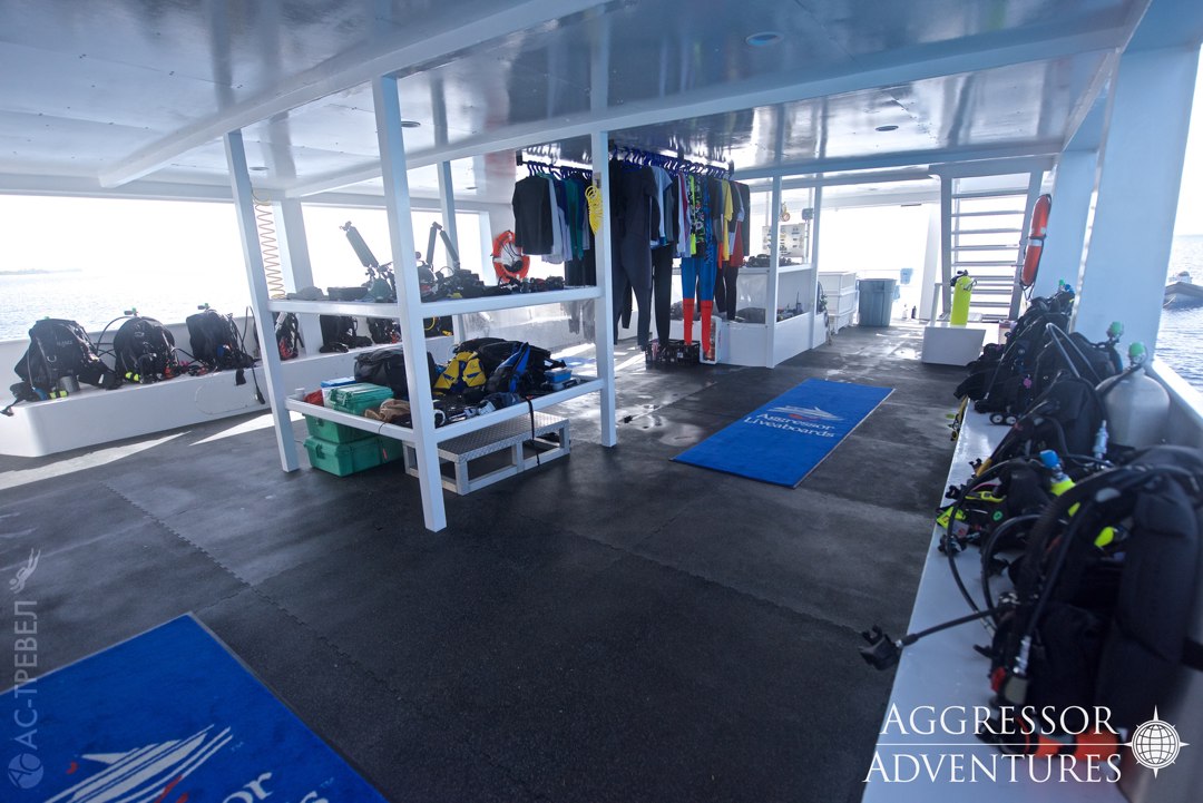 -   Bahamas Aggressor II