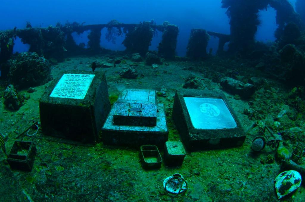 Fujikawa Maru