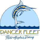 - Dancer Fleet