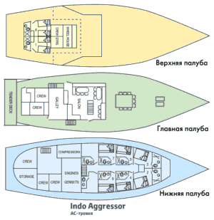    Indo Aggressor