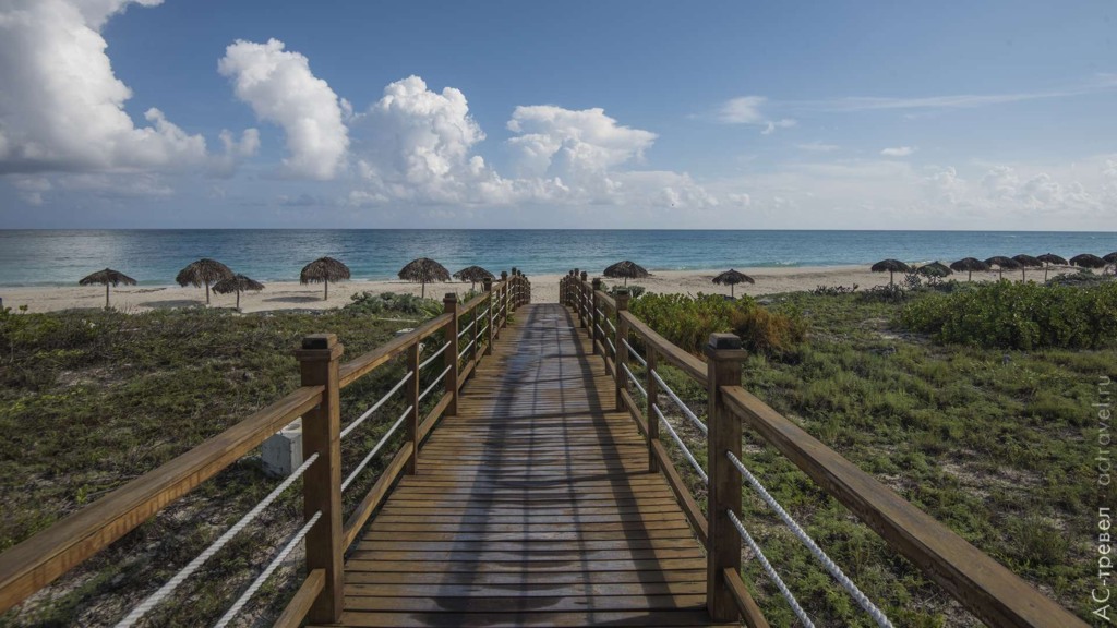    Pelícano Cayo Largo