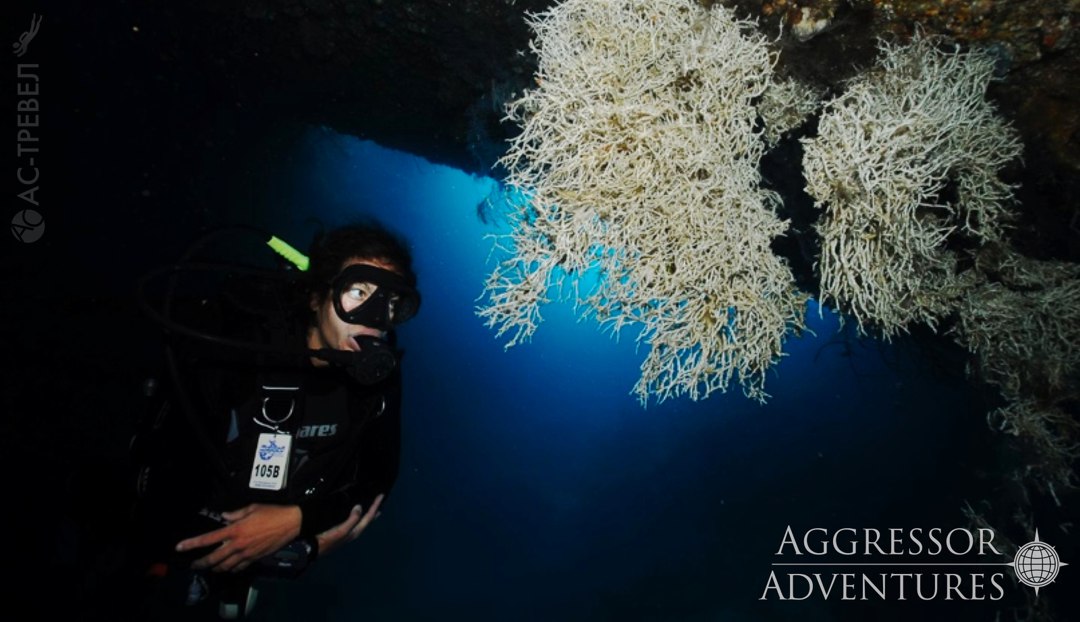      Red Sea Aggressor V