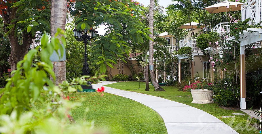  Caribbean Beachfront Grande Luxe Walkout Club Level Room   Sandals Grande Antigua